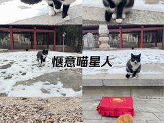 -四门塔风景区