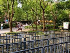 -上海滨江森林公园