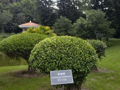 -厦门悦华酒店·绿庭主题自助餐厅