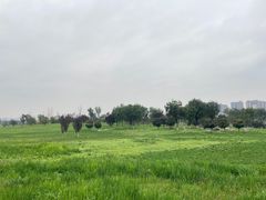 -汉长安城未央宫国家考古遗址公园