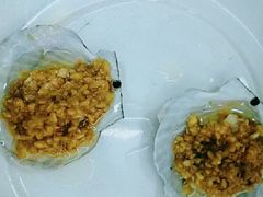 -望海潮海鲜店 特色家常菜(在海一方店)