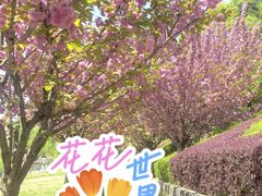-窦圌山风景区