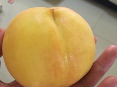 -石灰市毛记烧鸡公(解放碑店)