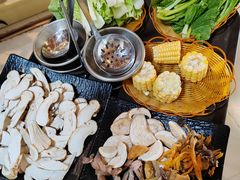 -蘑统田下·野生菌火锅