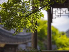 -芥子园