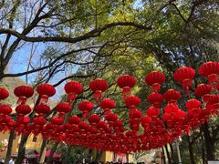 -狼山风景名胜区