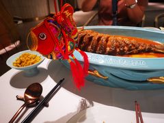 -阿五黄河大鲤鱼(海尚店)