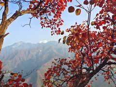 -秦岭终南山世界地质公园翠华山景区
