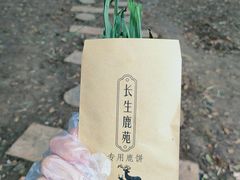 -灵谷景区