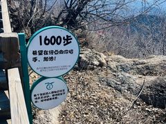 -大岭沟猕猴桃谷风景区