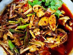 -小杨翘脚牛肉