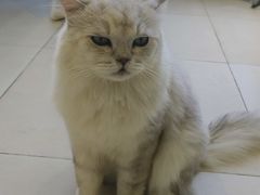 -怪兽屋·羊驼·猫咖·狗咖(俊华广场店)