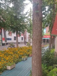 -爱儿美儿童摄影亲子馆(五路居店)