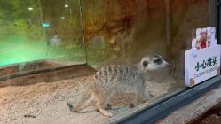 点击看大图 -酷嗒动物文化乐园(cutezoo西溪乐天城店)