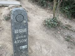 -梧桐山风景名胜区