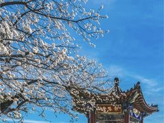 -北京西山国家森林公园