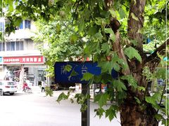 -董记冒节子肥肠粉