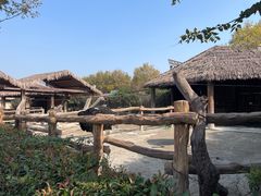 -上海野生动物园