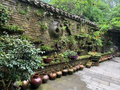 -青城甲(青城山店)