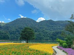 -广州市石门国家森林公园