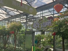 -南宫五洲植物乐园