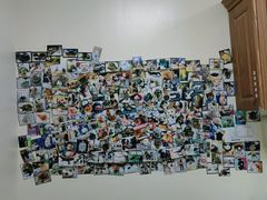 -美联众合动物医院·24h转诊中心