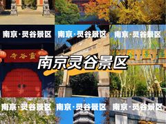 -灵谷景区