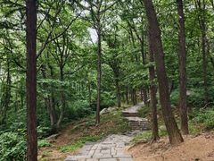 -沂蒙山旅游区云蒙景区(蒙山国家森林公园)