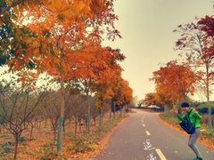 android_upload_pic-艾溪湖湿地公园