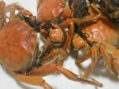 -鼎香缘海鲜自助火锅烤肉(锦辉购物广场店)