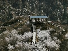 -大岭沟猕猴桃谷风景区
