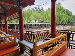 -尚庄度假村·庭台树下·户外烧烤·团建CS·轰趴营地(上庄水库店)