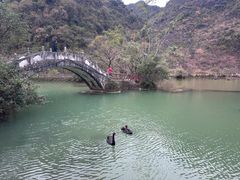 -靖西鹅泉风景区