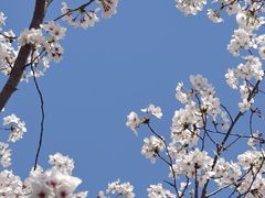 -白塘生态植物园