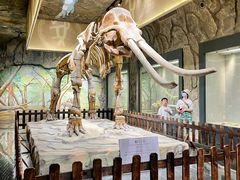 -白帝城·瞿塘峡景区