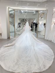 -艾米丽婚纱礼服