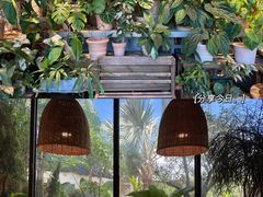 -自由生长植物工作室(深港花卉中心店)
