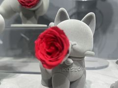 -ROSEONLY诺誓(国际广场购物中心店)