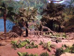 恐龙博物馆-自贡恐龙博物馆