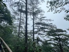 -明堂山风景区