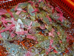 -巽寮印象美食部落餐厅·海鲜·地方特色菜(惠州体验店)