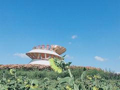 -光明小镇欢乐田园