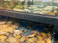 -小厨师·二十年沈家门小海鲜(百井坊巷店)