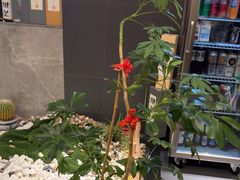 -江户前日本料理(瑞诗酒店店)