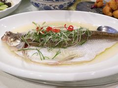 太湖白鱼-水上明月·湖景餐厅