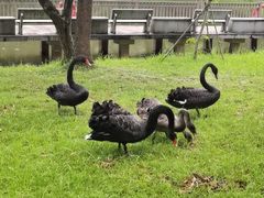 -福建鲤鱼洲酒店