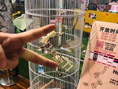 -巴黎春天(浦建店)
