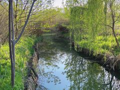 -溱湖国家湿地公园