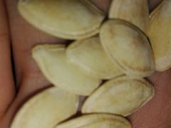 -傻二炒货龙虾(李沧旗舰店)