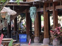 -西双版纳傣族园